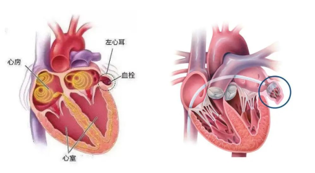 QQ圖片20210924091707.png